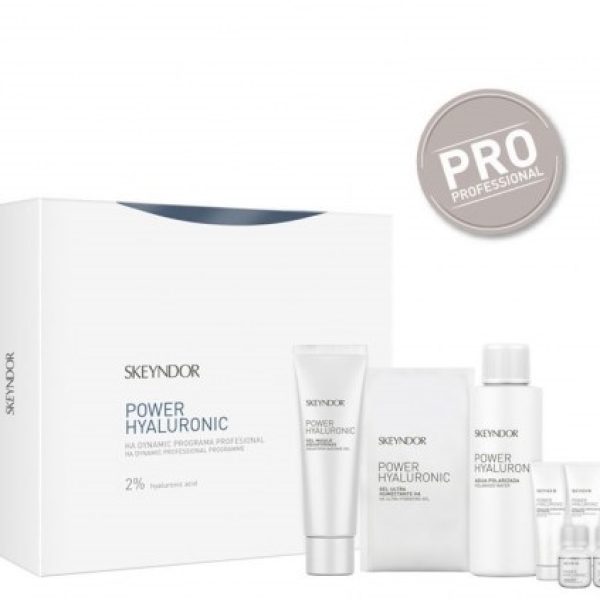 ha-dynamic-professional-programme1